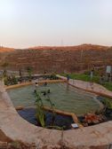The pool in her memory